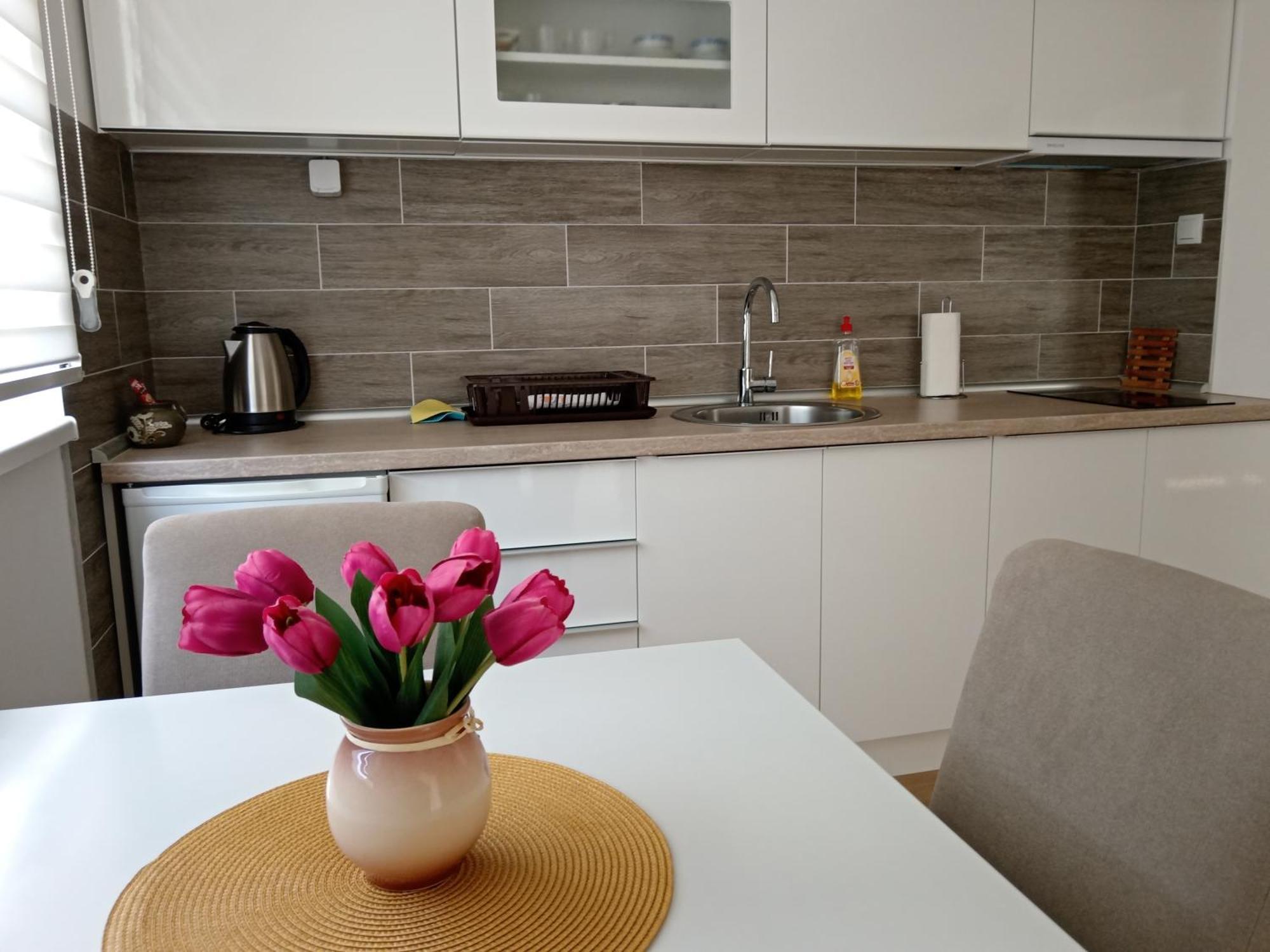 Mk Zlatibor Apartman Kültér fotó
