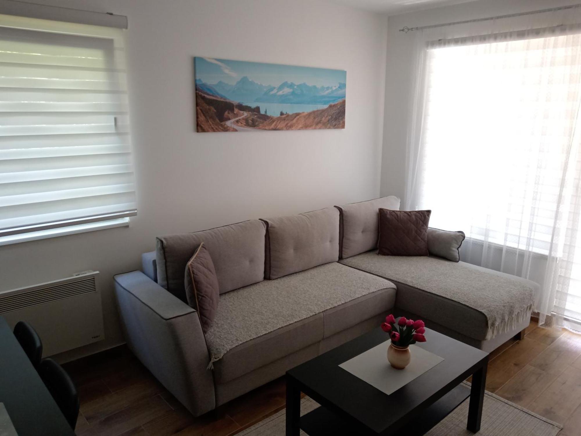 Mk Zlatibor Apartman Kültér fotó