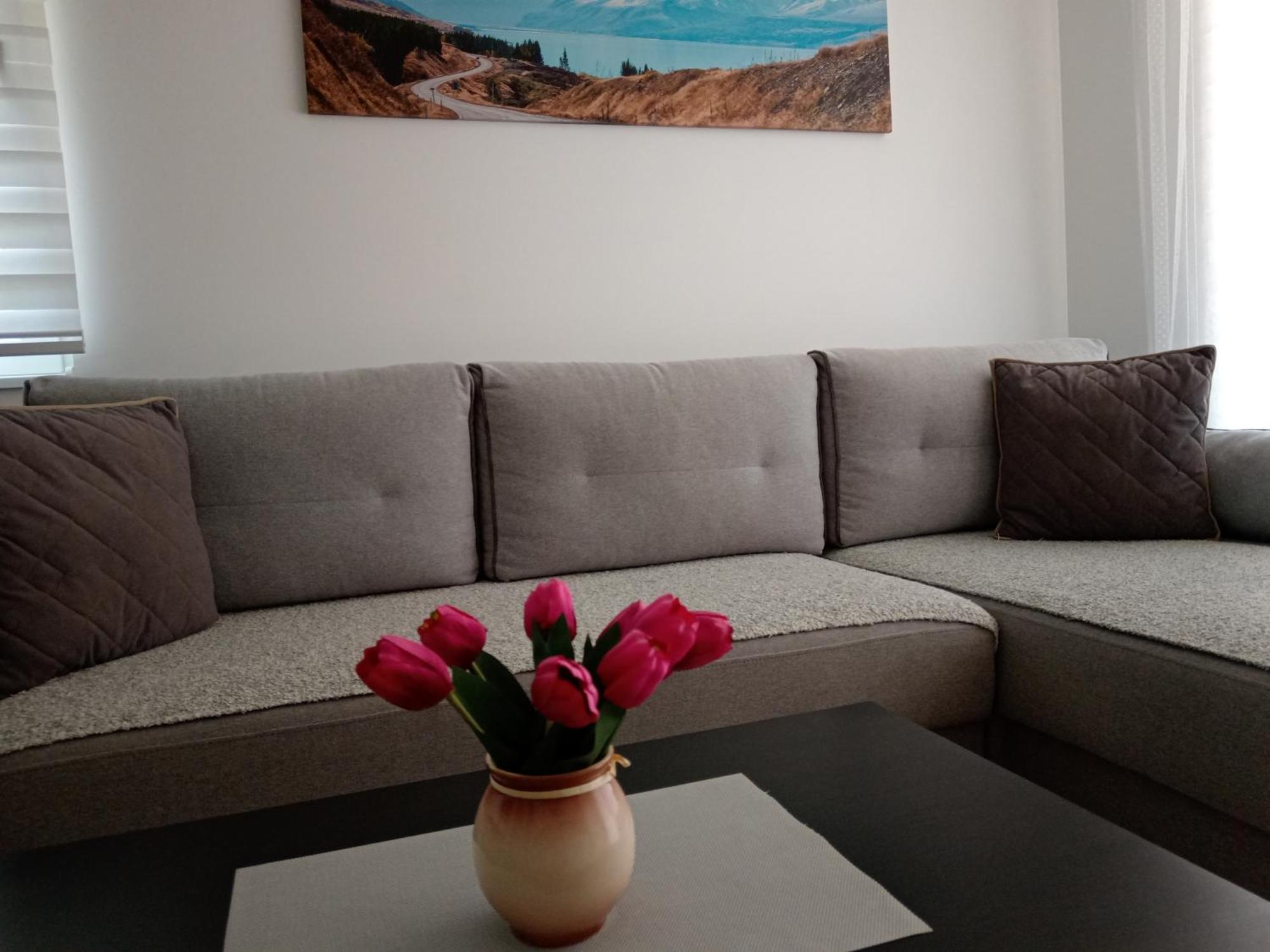 Mk Zlatibor Apartman Kültér fotó
